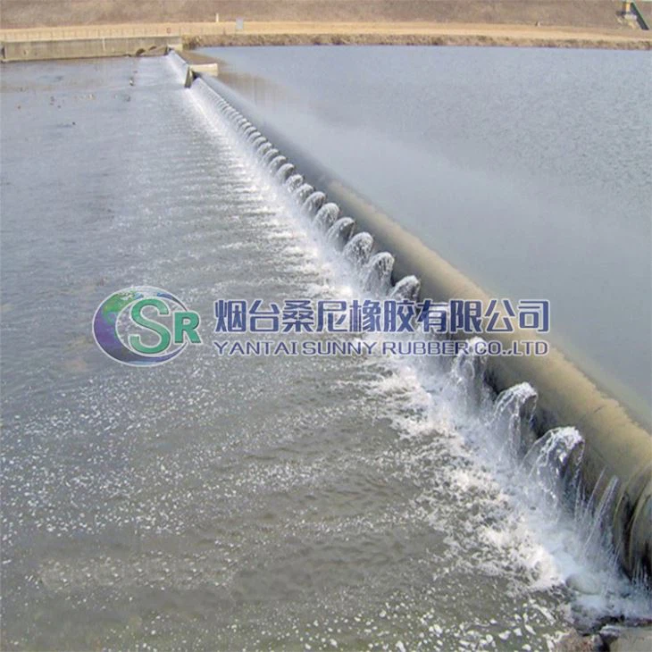 Pillow-Type Rubber Dam Filled with Air for Irrigation