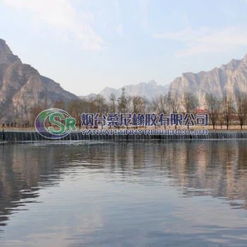 Pneumatic Spillway Gate System