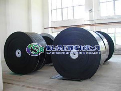 Circular Conveyor Belt
