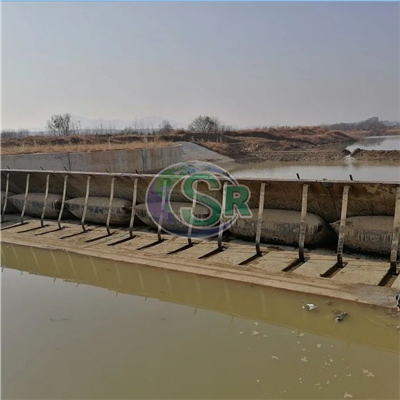 Carbon/304 Steel Gate Air Bag Support Dam