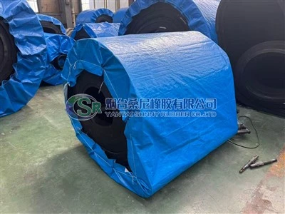 Conveyor Belt Of Vacuum Filter With Groove And Wave Edge