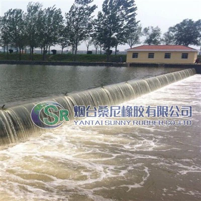 Pneumatic Spillway Gates For River Flood Control