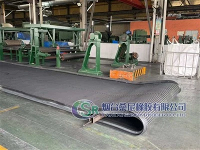 Rubber Filtration Belts With Custom Made Curbing